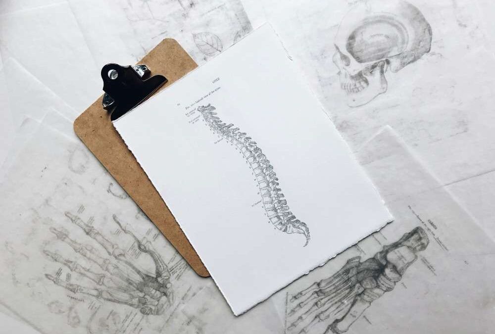 Présentation d'un dessin d'une colonne vertébrale où circule le liquide céphalo rachidien