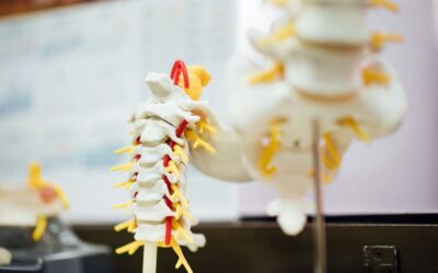 Maladies de la moelle épinière : Symptômes, causes et principales pathologies