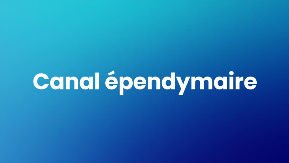 Illustration mot canal épendymaire