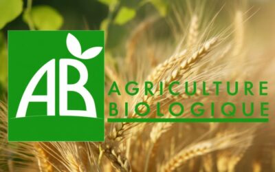 Logo AB : Label bio, certification, comment s’y retrouver ?