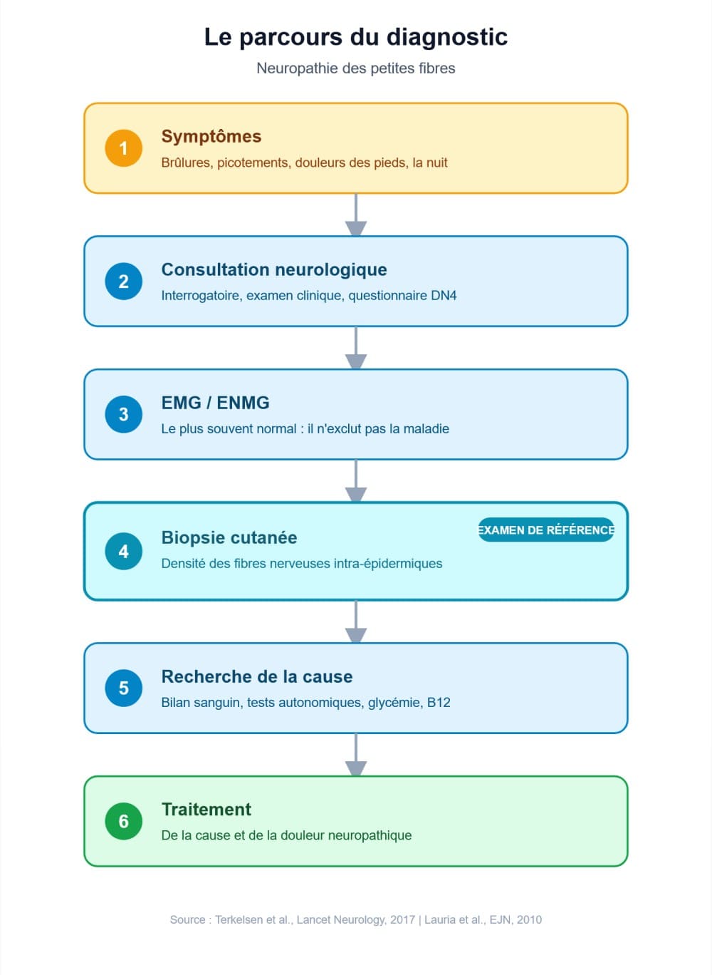 Schéma diagnostic neuropathie des petites fibres