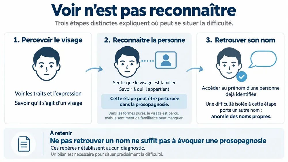 Voir n’est pas reconnaître : trois étapes distinctes expliquent où peut se situer la difficulté.